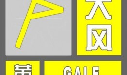 大风新闻爆料热线,揭秘新闻背后的故事